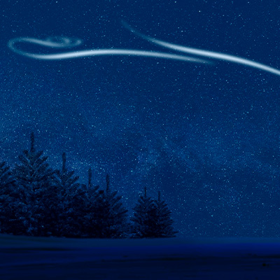 Sternenhimmel mit Bäumen